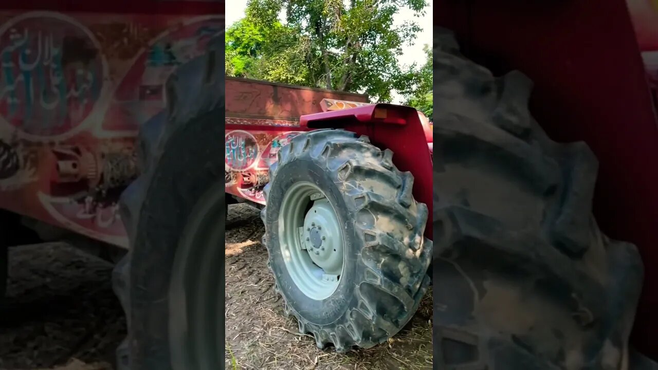 Village life #trending #shortsvideo #viral #shortsfeed #youtubeshorts #village #youtube