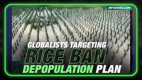 Alex Jones: The Globalists Want To Ban Rice & Kill 4-5 Billion People - 4/17/23