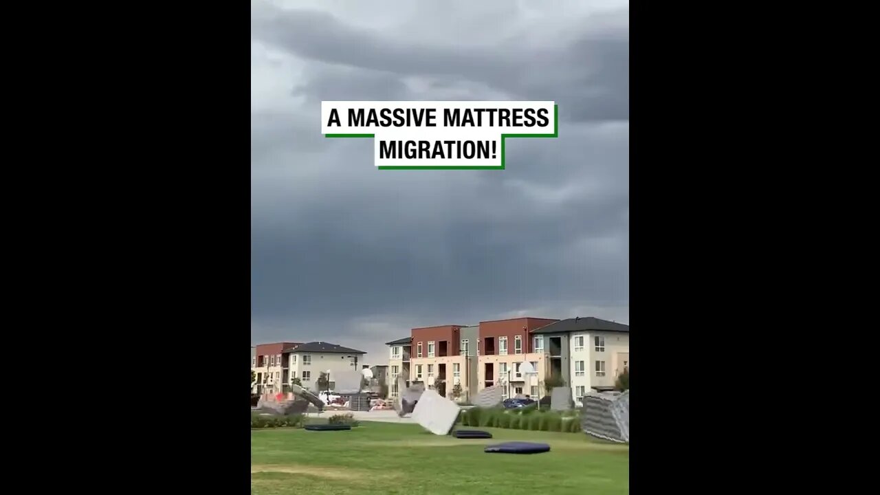 Storm Causes Massive Mattress Migration #viralclips #viralvideos
