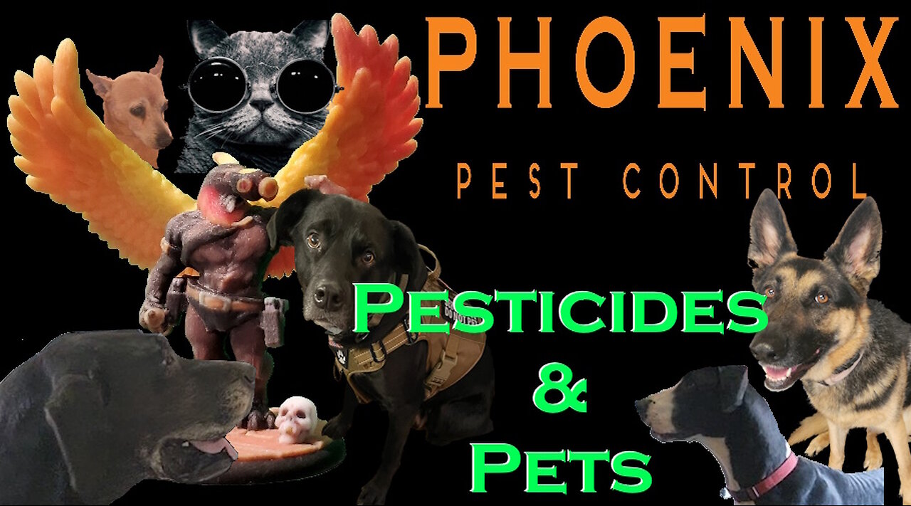STOP Using Pesticides Near Your Pets Until You Watch This