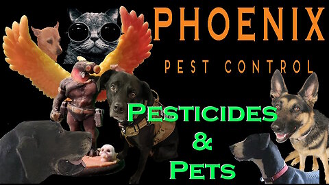 STOP Using Pesticides Near Your Pets Until You Watch This