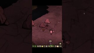 Don't laugh at that joke - Don't Starve Together