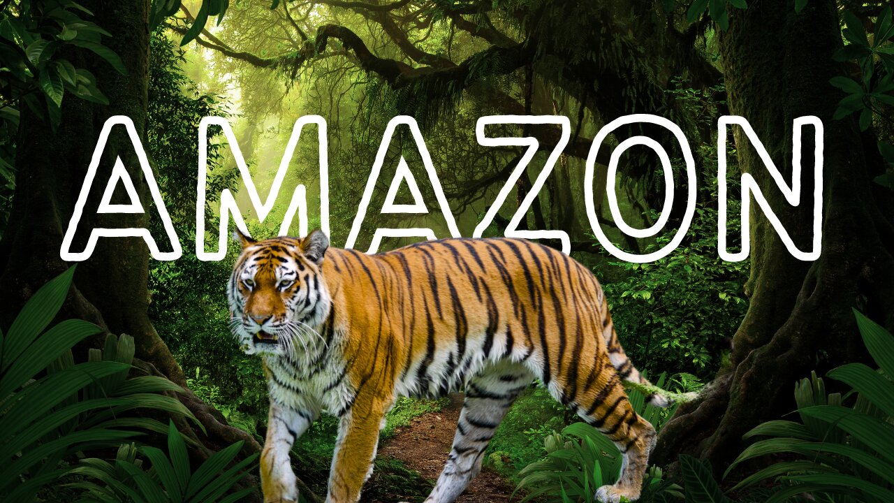 Discovering the Amazon: Earth's Lush Green Heartbeat | Amazon Rainforest