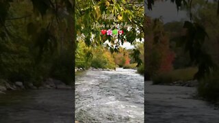 Refreshing Credit River Sound | Nature Sounds | Riverwood Conservancy