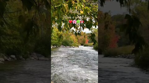 Refreshing Credit River Sound | Nature Sounds | Riverwood Conservancy