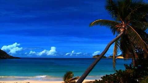 Ocean Sounds to Sleep Study and Chill The Most Relaxing Waves Ever