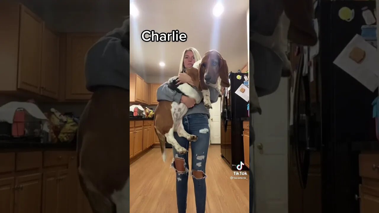 Pet Moms