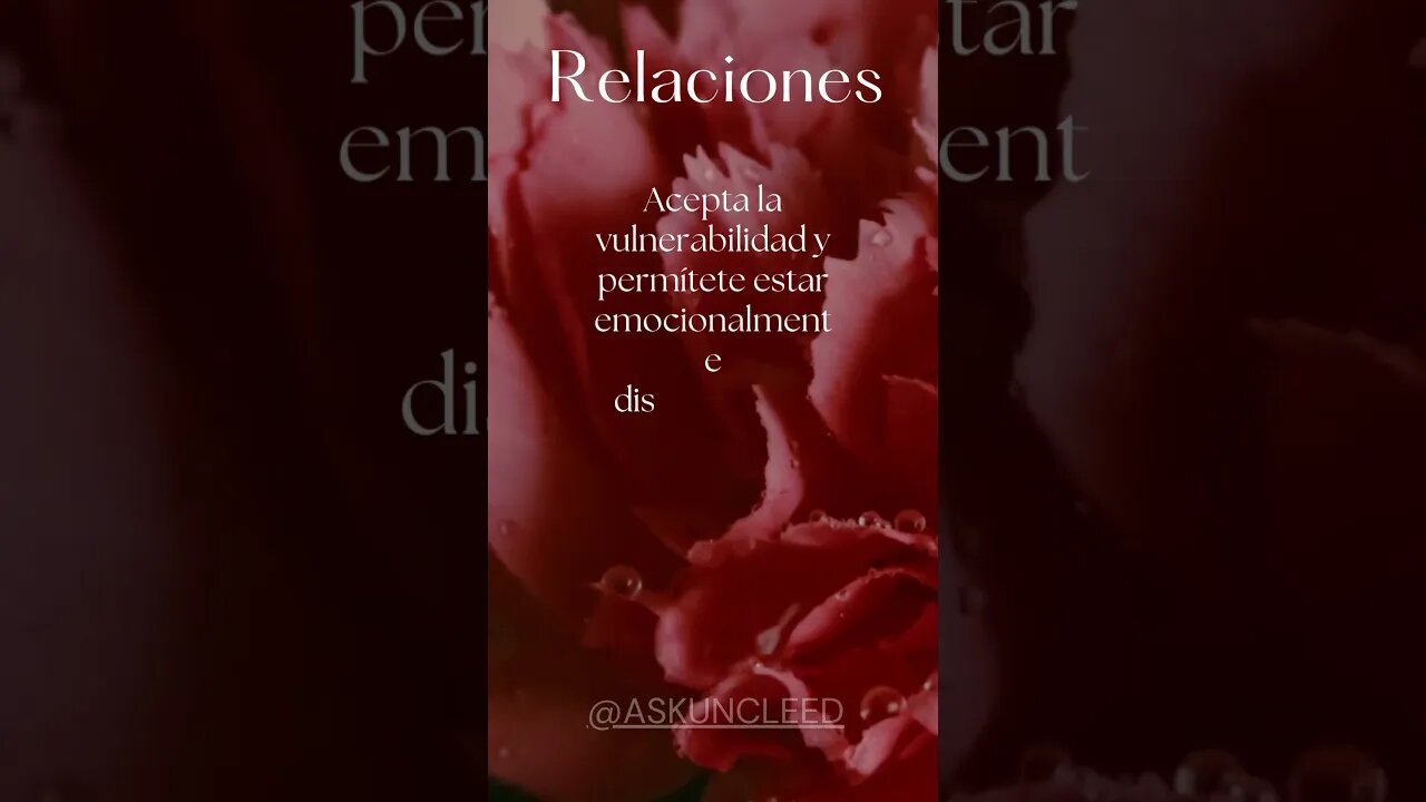 Consejos de Relaciones