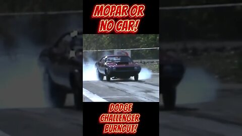 Mopar or No Car! 1970 Dodge Challenger Burnout! #shorts