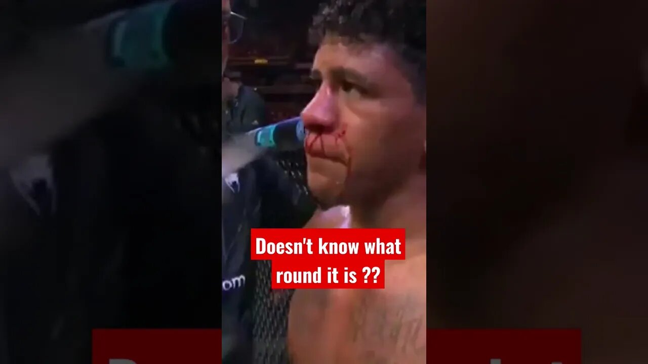 Gilbert Burns Vs Belal Muhammed UFC - "What round is it?" #ufc #belalmuhammad