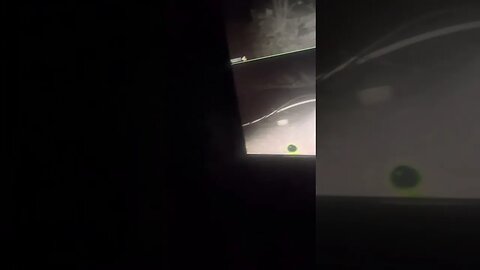 Update on animals around my tent 2023
