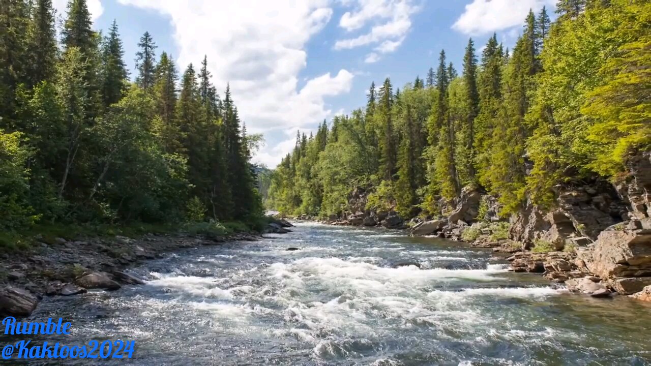 nature beautiful video