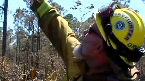 Lightning bolt struck ignited fire in St. Lucie County
