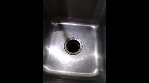 I found this in my sink