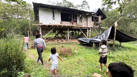 How indigenous communities live in the Amazon rainforest in Ecuador