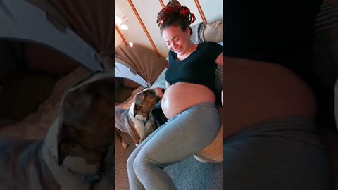 dog love, dog Loves his sister what we are waiting, cute dog, cute video, baby sitter, love
