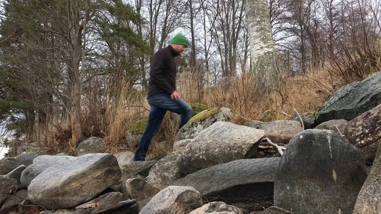 Swedish Homestead 2017 - What To Expect