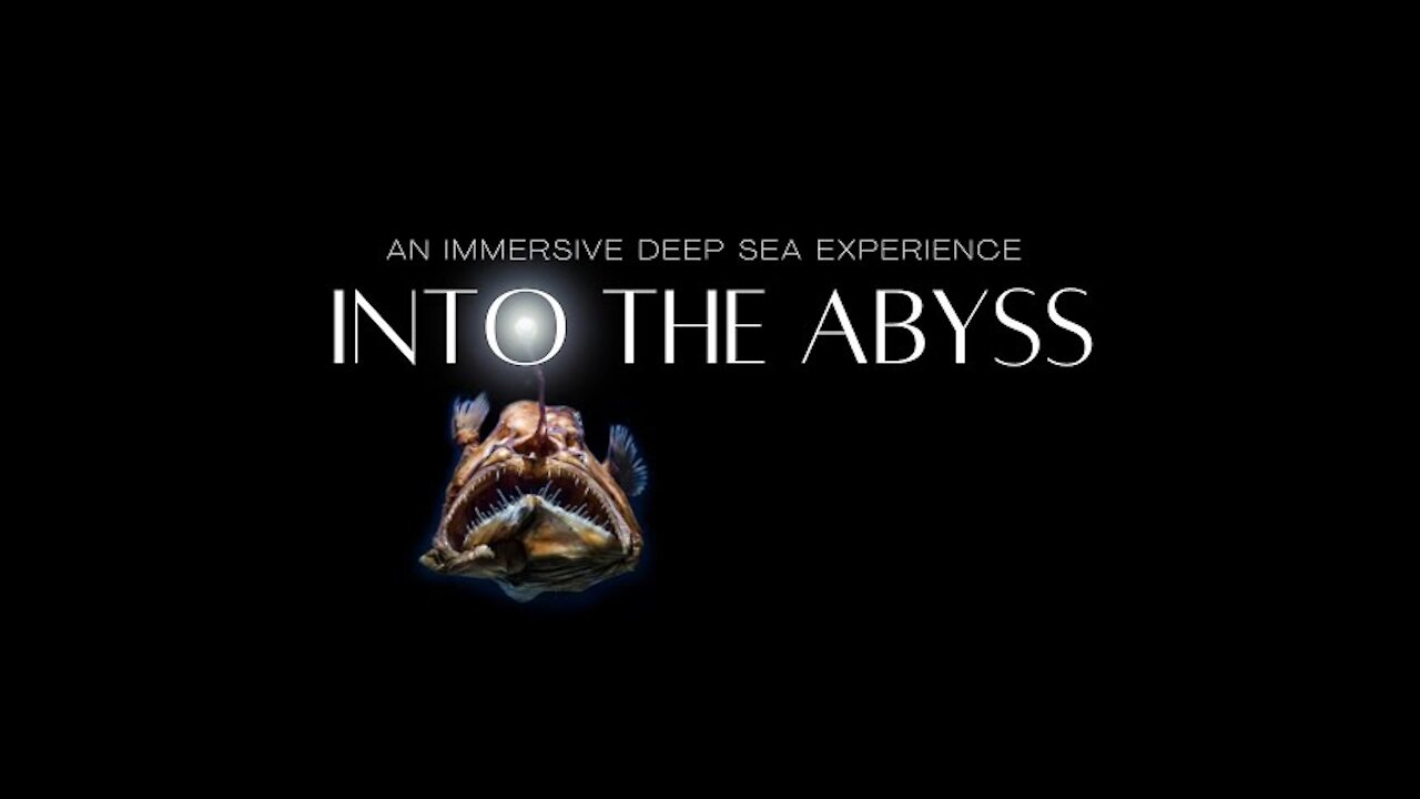 Into the Abyss - an Immersive Dive into the abyss