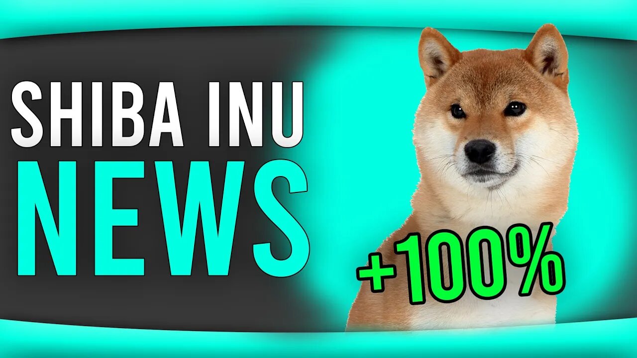 SHIBA INU COIN UPDATES