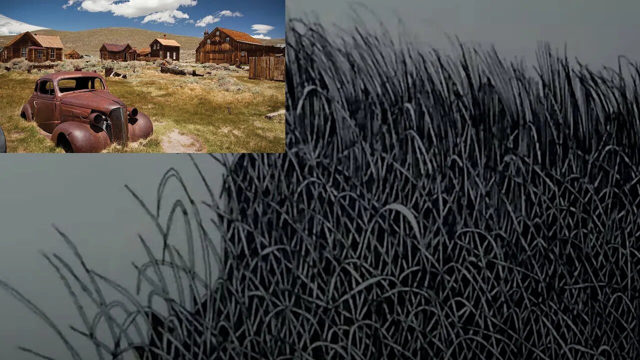 Drawing an Abandoned Town, Tall Grass