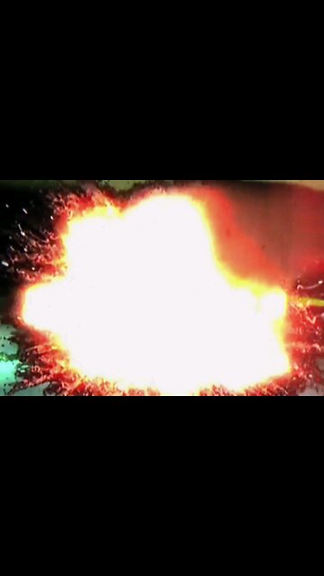 Deer saves a man's life?