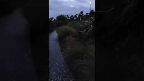 Ebike under overpass