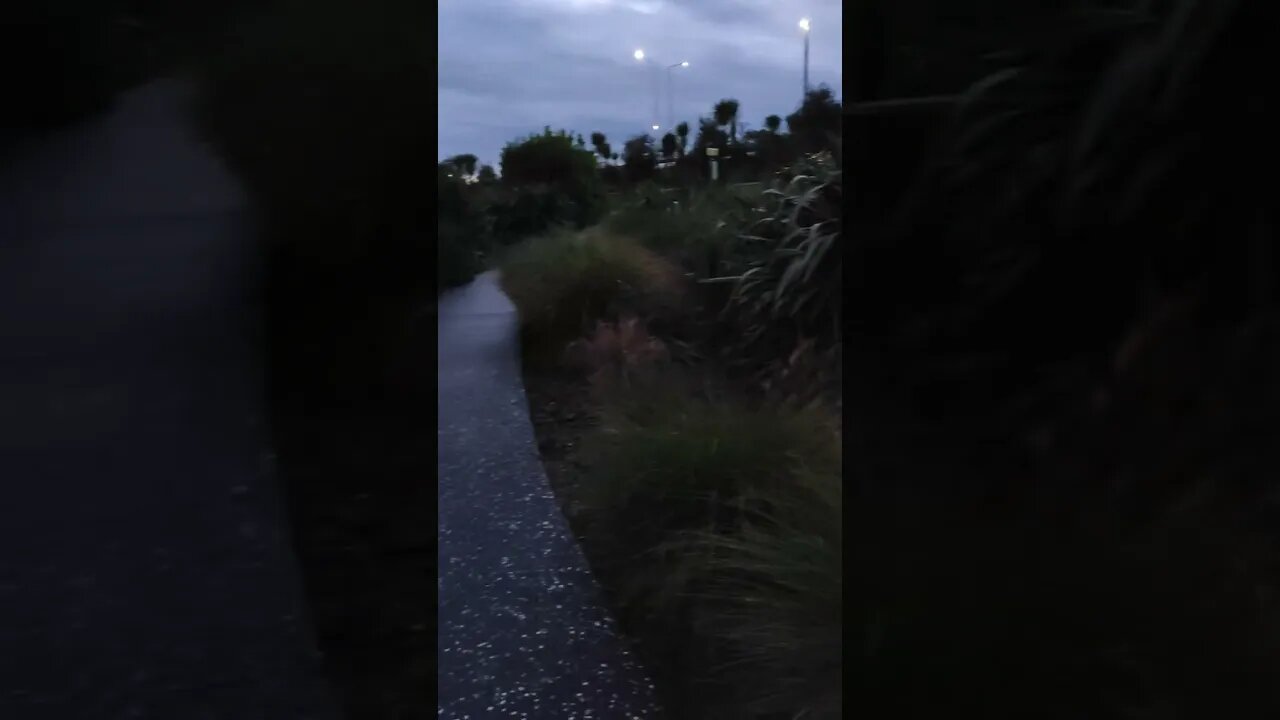 Ebike under overpass