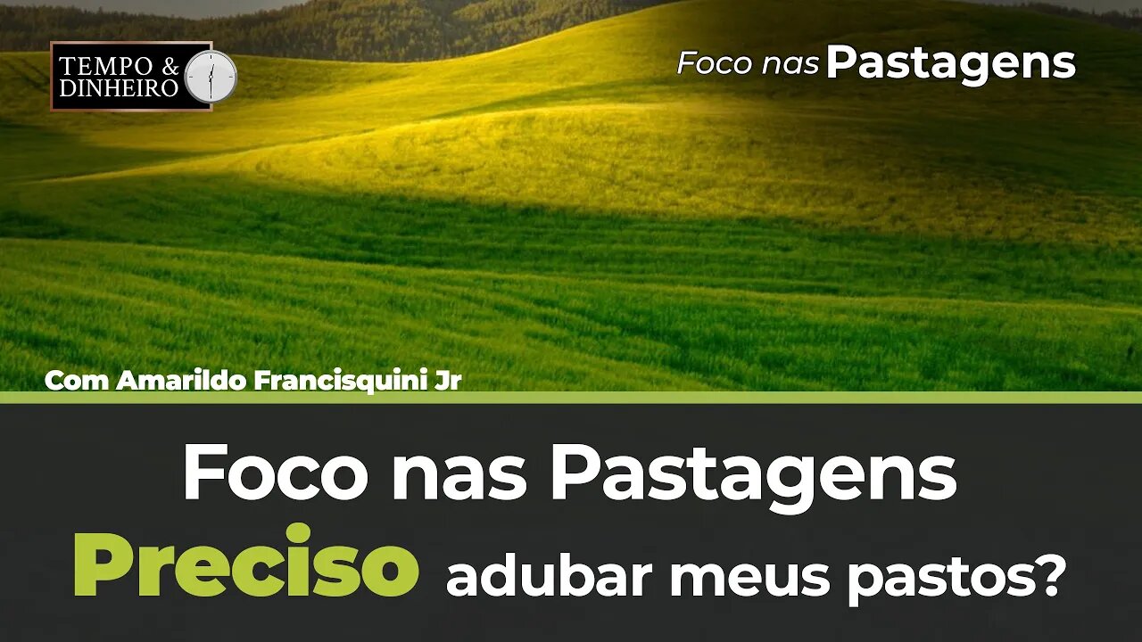 Foco nas Pastagens : mais prestação de serviços no novo quadro do Tempo&Dinheiro