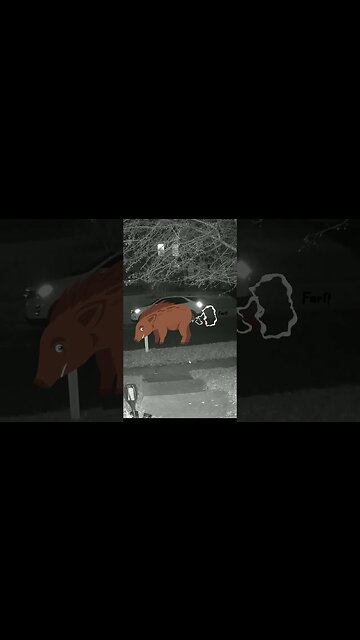 A Farting Boar Visits #Shorts 😎