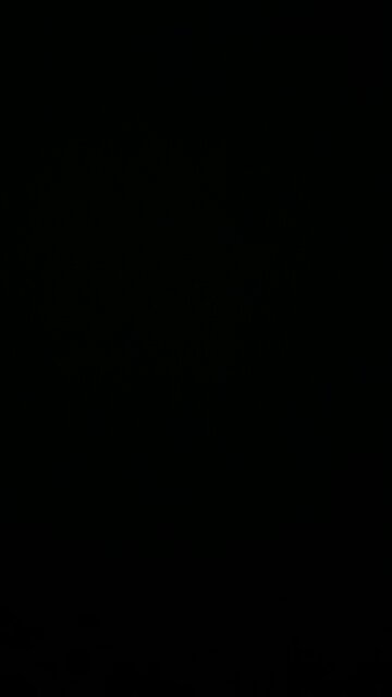 Publications of books