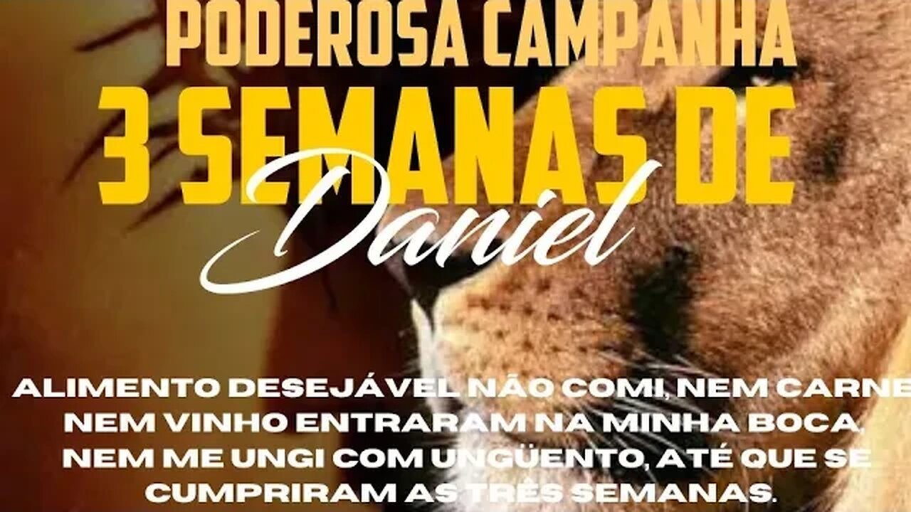 8° dia da campanha dos 21 dias de Daniel