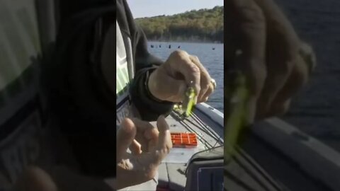 Ultra Light Fishing