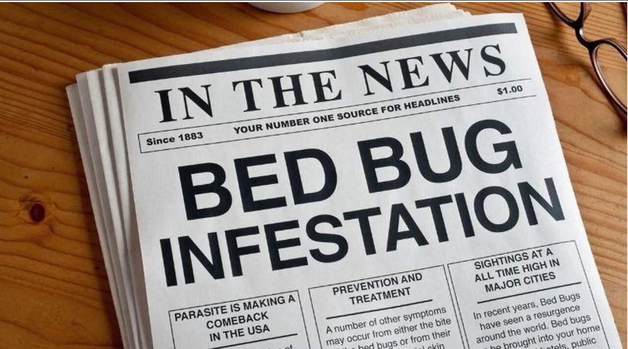 Facts About Bed Bugs You Probably Didn’t Know About