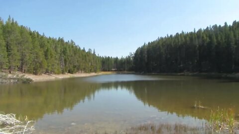 Nuphar Lake in Yellowstone