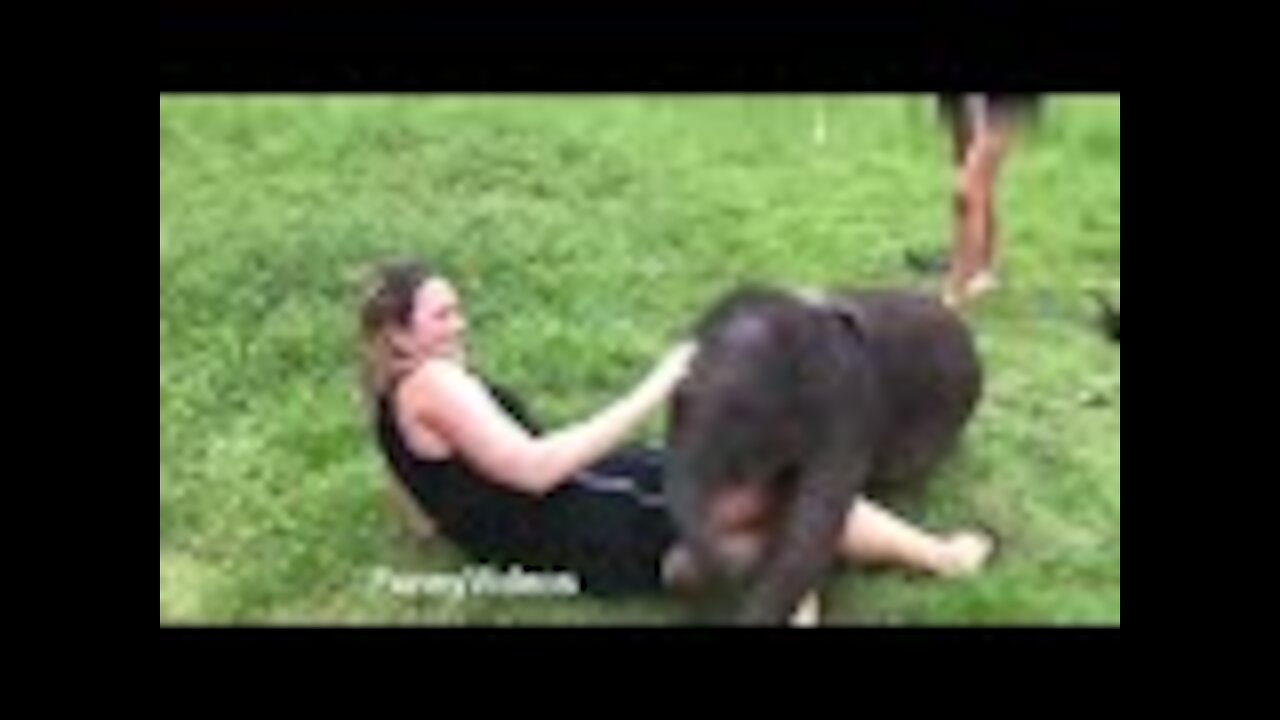 Videos Funny Animals | Funny Girl Video 2021| Funny girl Fails | funny zoo Animals