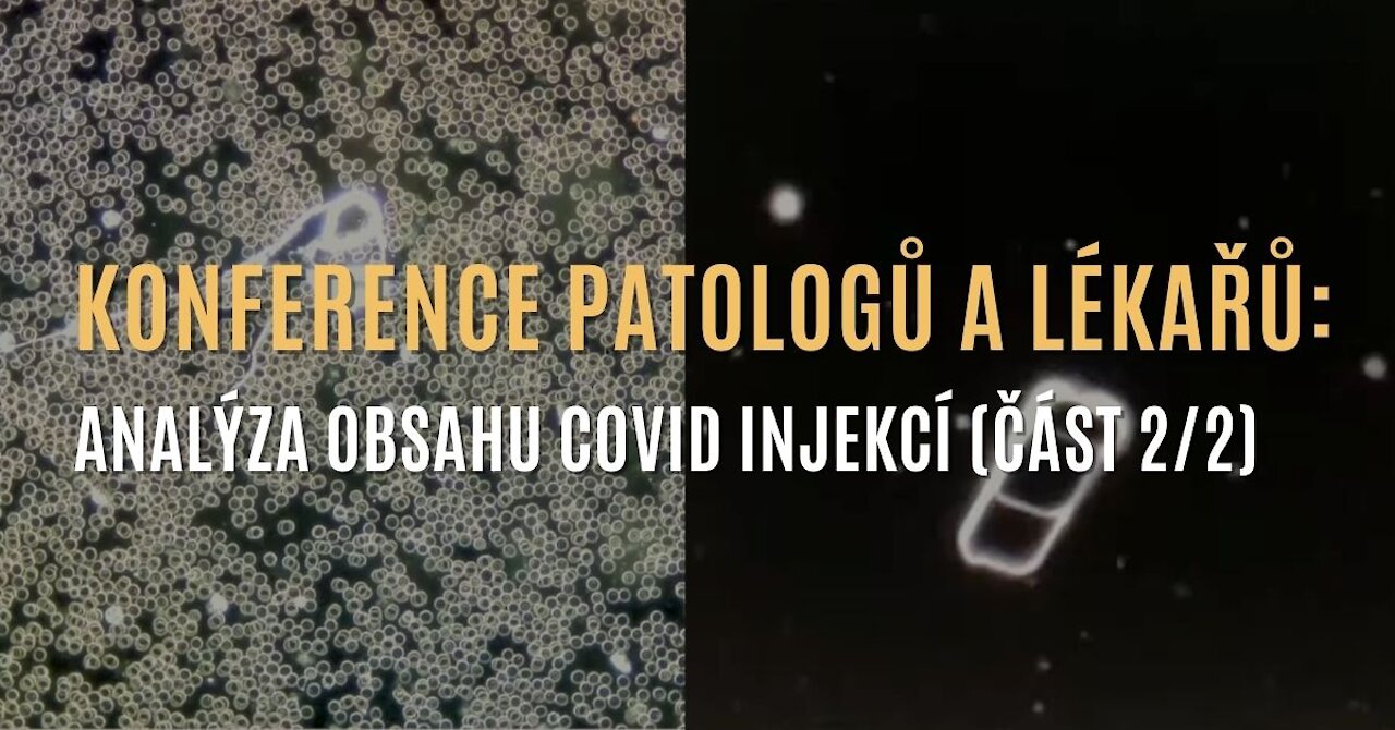 Konference patologů a lékařů: Analýza covid injekcí a jejich obsahu (část 2/2)