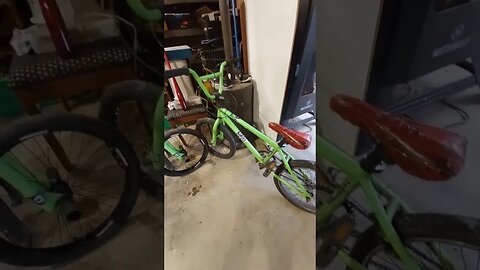 My BMX 1998 DK Rise twins