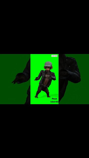 The Most Fun Monkey Dance You'll Ever Watch!