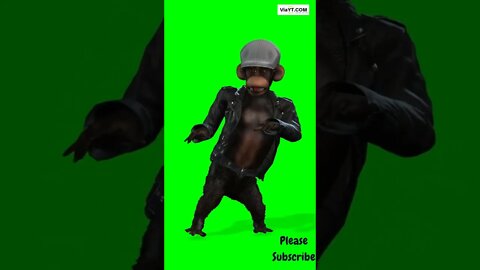 The Most Fun Monkey Dance You'll Ever Watch!