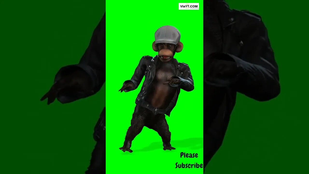 The Most Fun Monkey Dance You'll Ever Watch!
