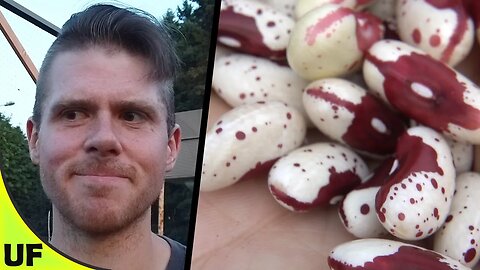 Jacob's Cattle Bush Bean Taste Test | Unusual Foods
