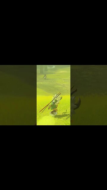 Devs attention to detail Zelda Skate of the Kingdom