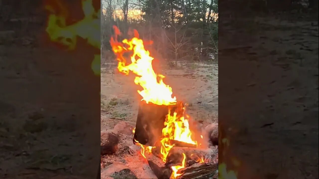 Spellbinding campfire burning out a hollow log