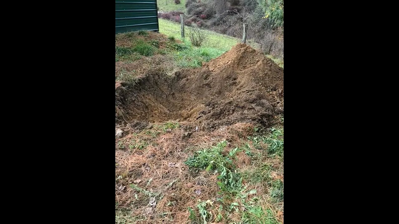 Digging in the Dirt!