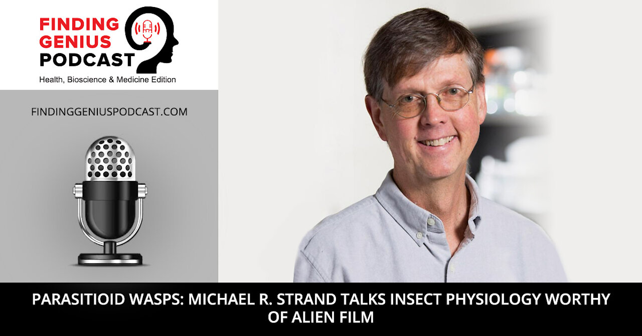 Parasitioid Wasps: Michael R. Strand Talks Insect Physiology Worthy of Alien Film