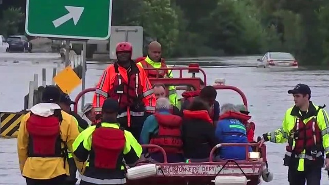 Rain in Texas continues after Hurricane Harvey, residents face pest filled flood waters