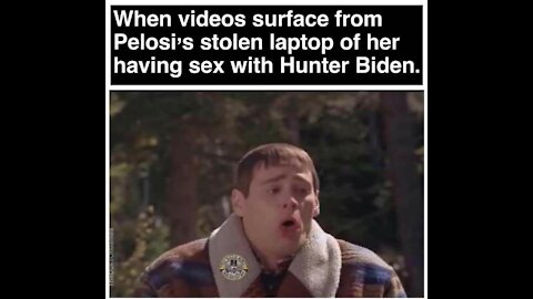 Hunter Biden - Laptops and Diaries