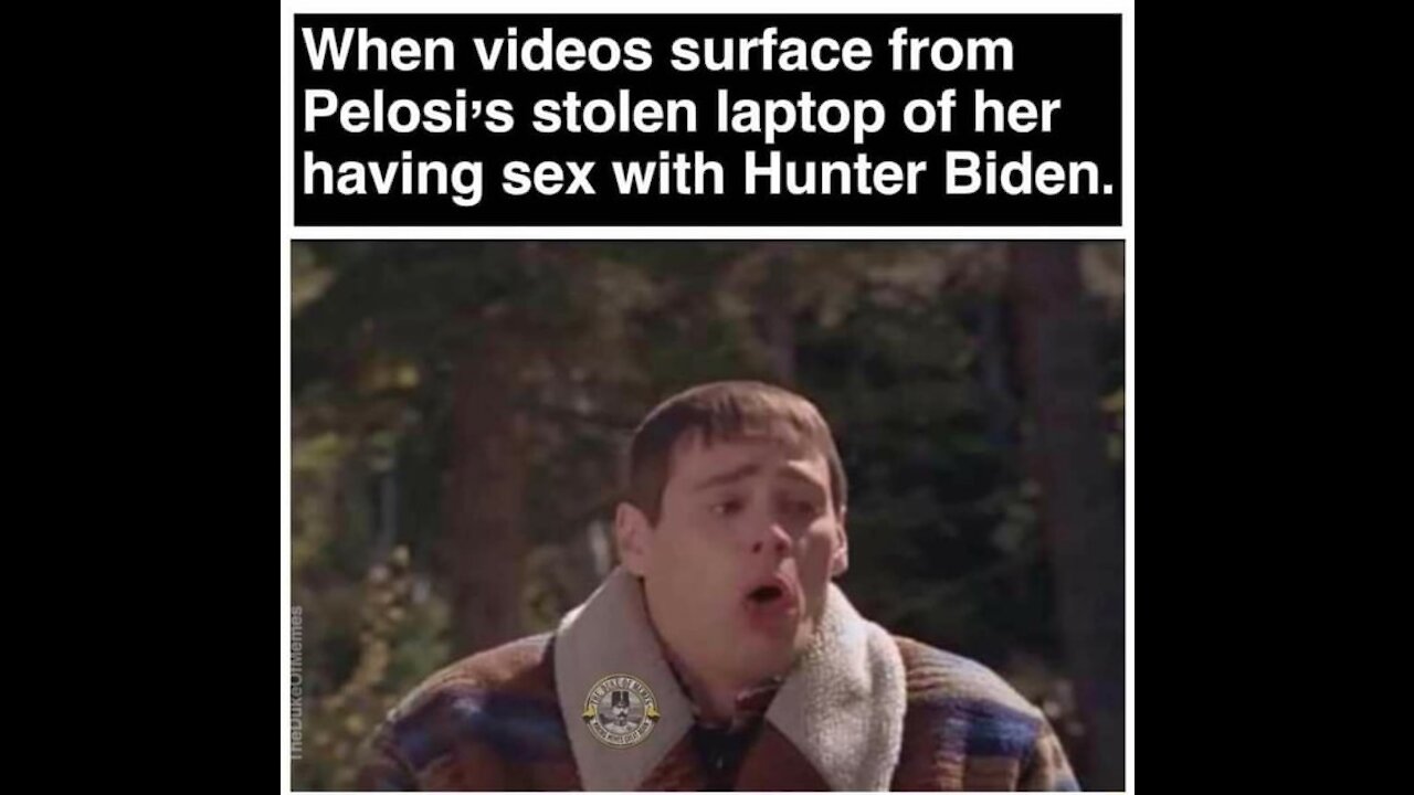 Hunter Biden - Laptops and Diaries