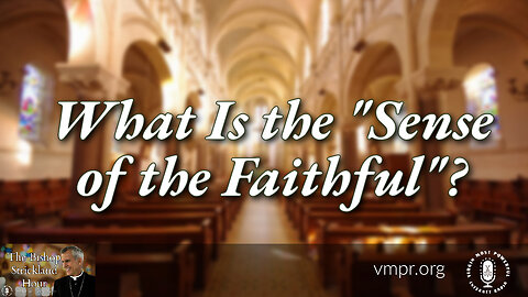 25 Oct 22, What Is the Sense of the Faithful?