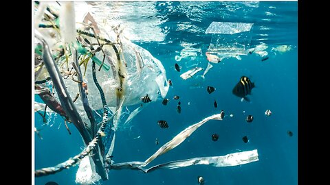 MASSIVE COSTS OF PLASTIC POLLUTION - HEALTH, DISPOSAL, AND MORE 